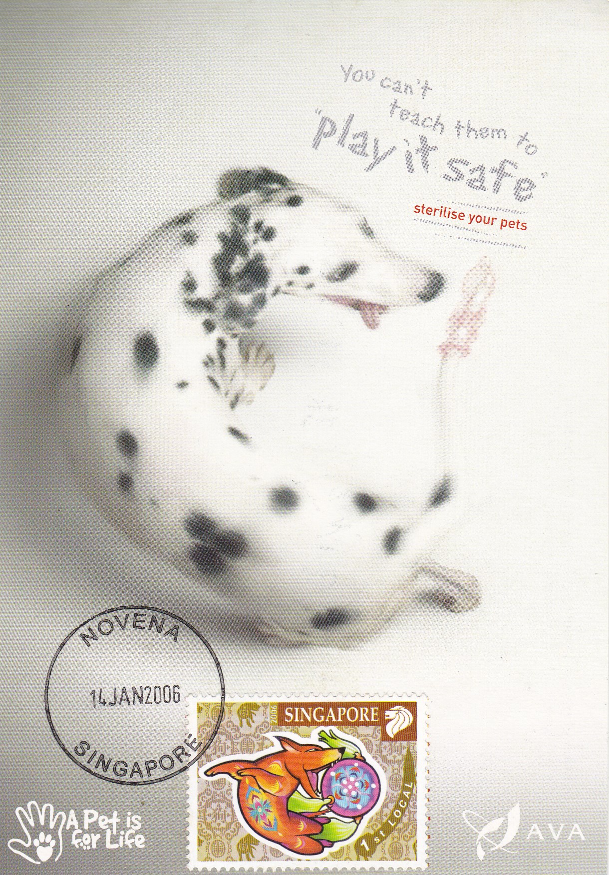 关于生肖狗的电影大全,12生肖狗的电影