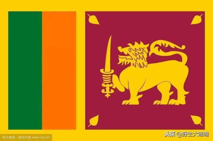 春天穿这些颜色真是美爆了,冬天穿这些颜色真的太美了