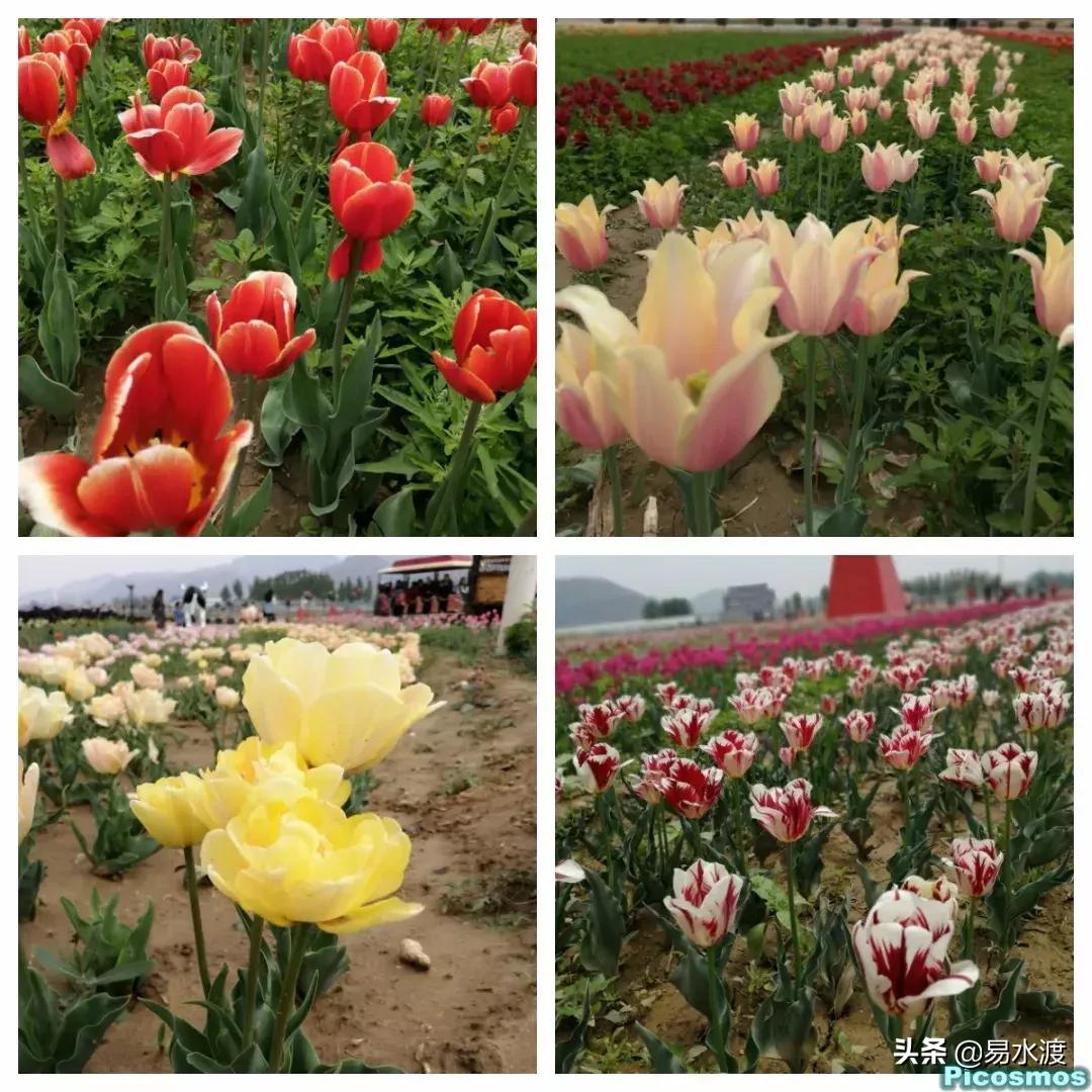 易县好玩,易县谢村文化广场五一