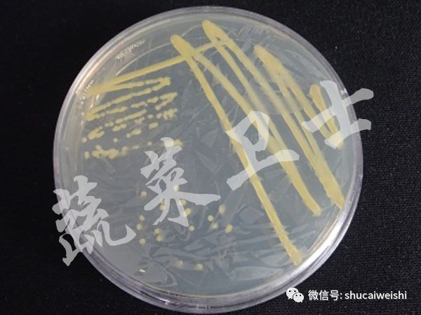 预防辣椒茎基腐用什么药,如何预防辣椒茎基部病害