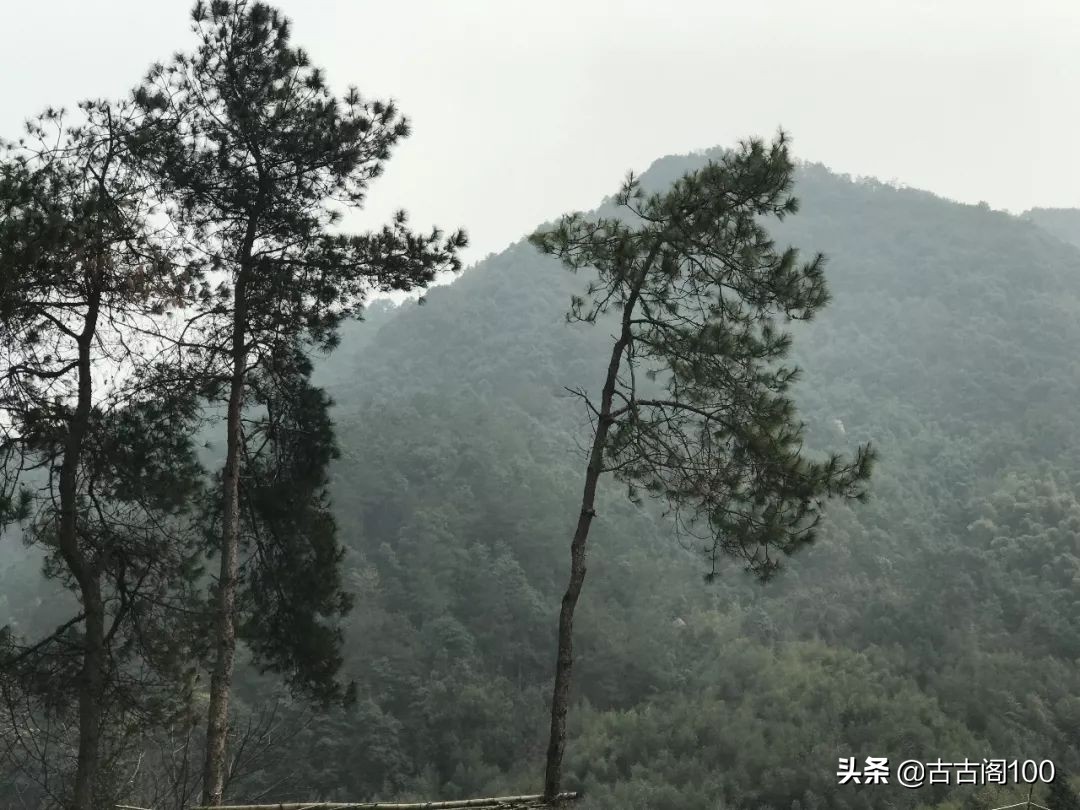萧绍古道在哪里,萧绍古道古纤道