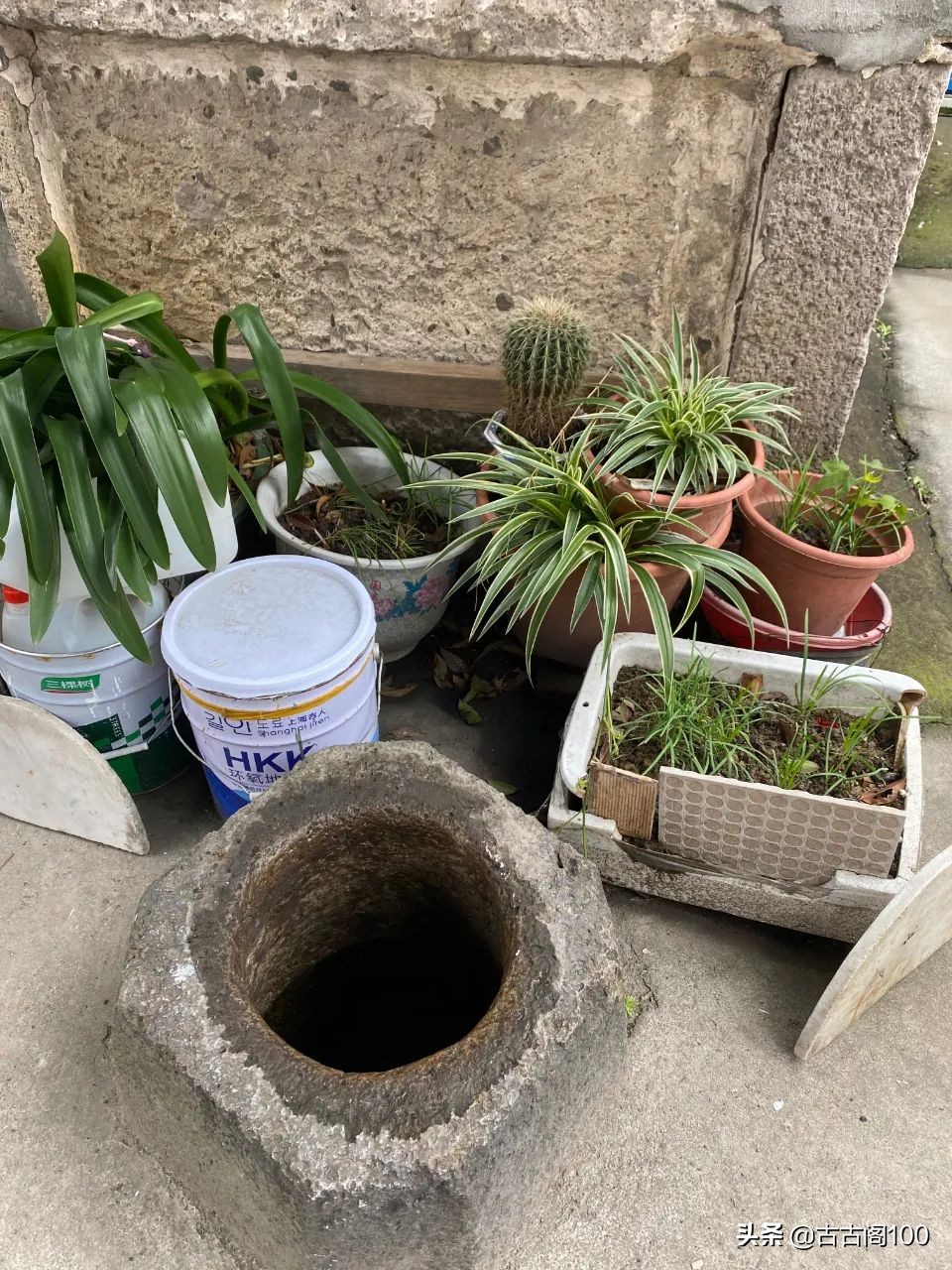 绍兴州山:《古文观止》发祥地重磅基因待解码