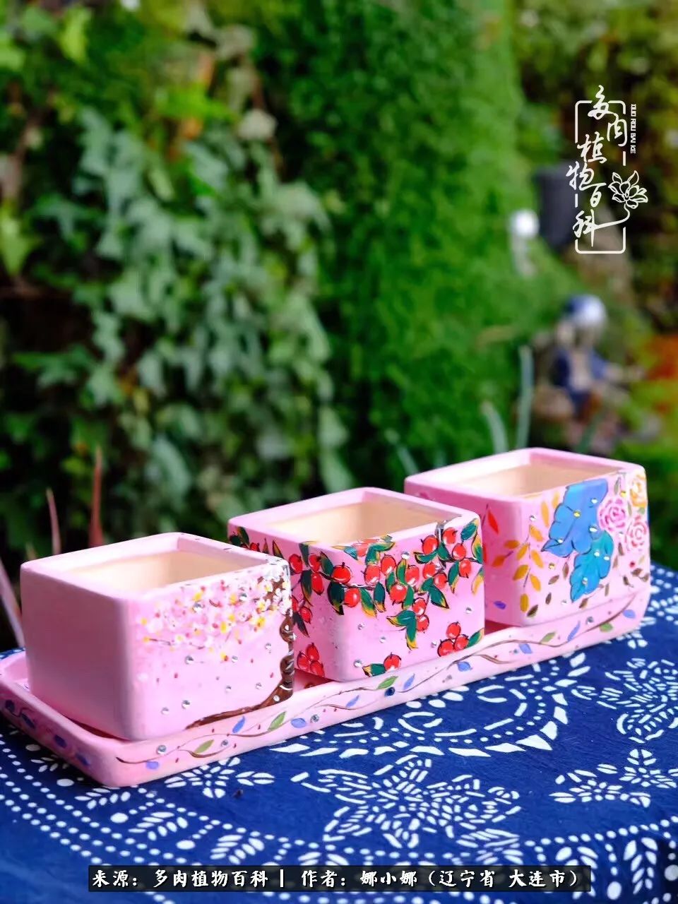 你是盆我是花，你护我周全，我为你绽放