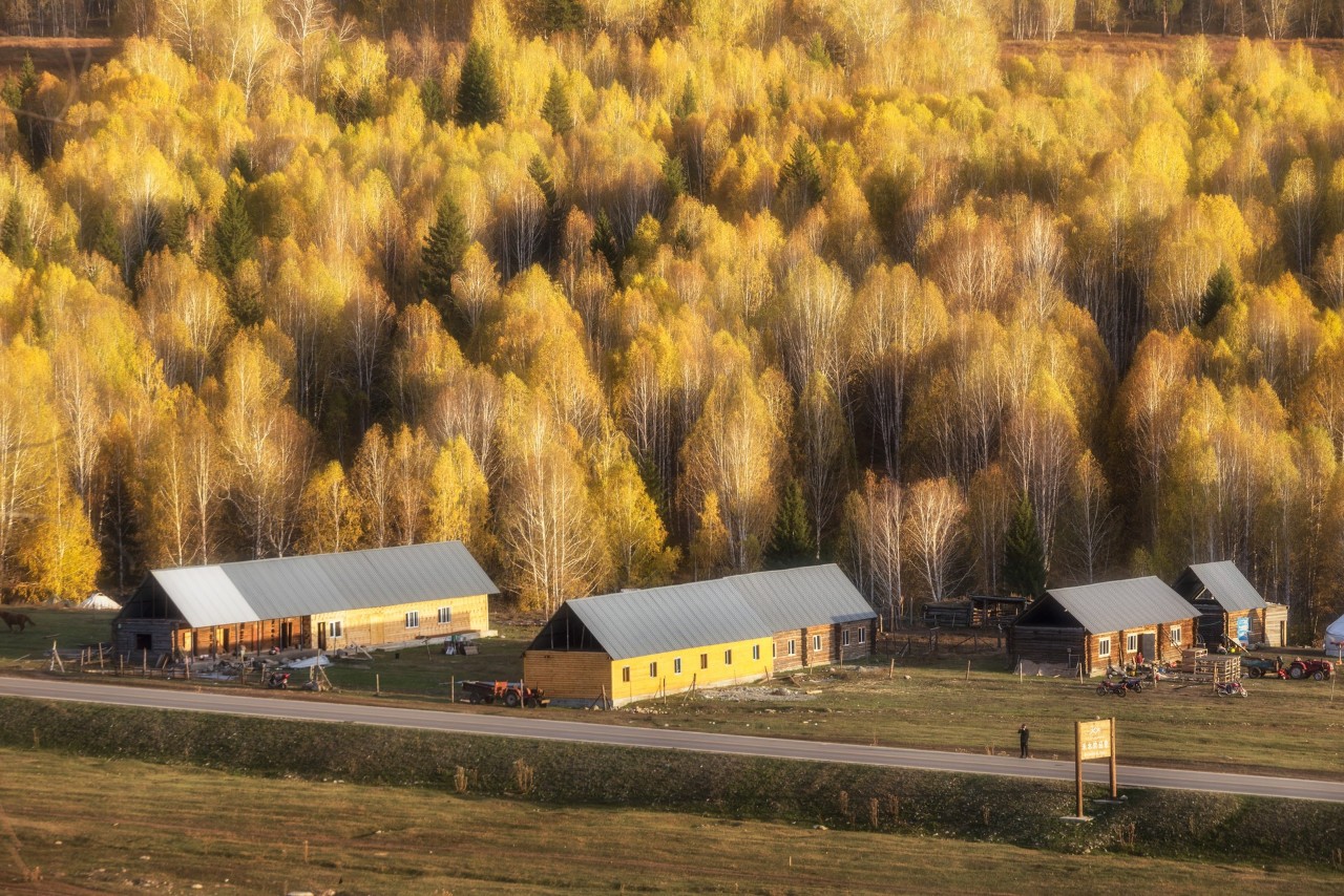 你永远不会体会到*疆新**公路的风情万种，除非你亲自自驾到那里！