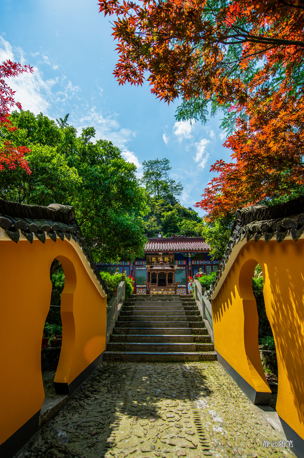 浙江富阳上官球拍有限公司,富阳上官乒乓球拍厂