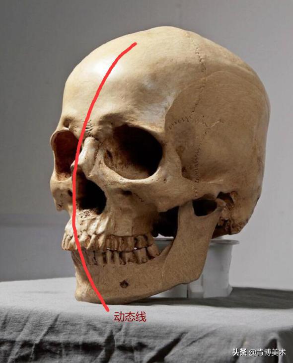 画人像学哪种,适合新手画人的绘画