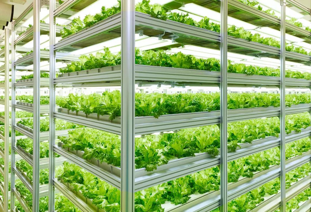 视觉传达设计如何提升美感,如何让品牌设计具有感染力