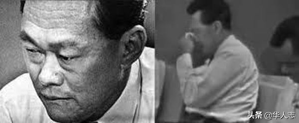 李光耀华人世界,李光耀伟大的华人精英