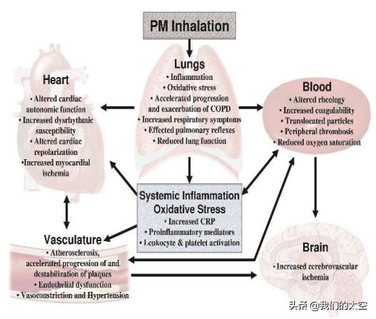 一分钟了解世界无烟日视频,一分钟了解世界保健日
