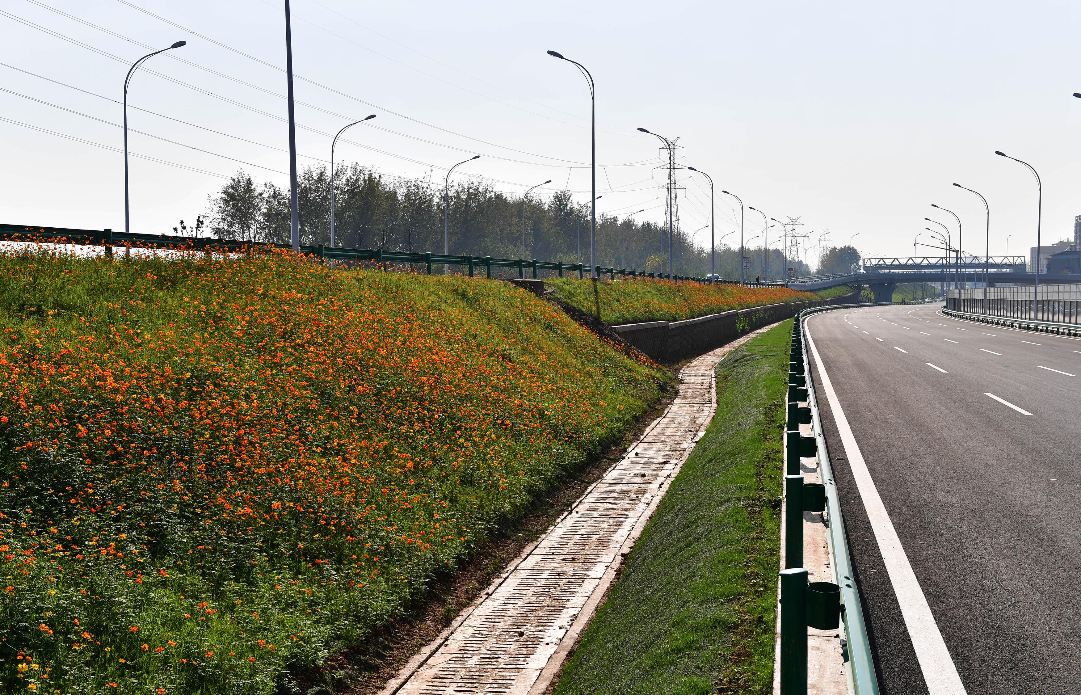 花田花海值得去吗,这些美到爆的花海一定要去看看