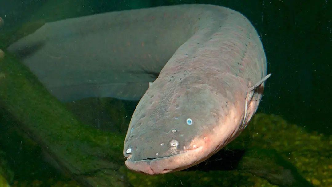 吴亦凡塌了？揭开他勾搭女孩的五套招数