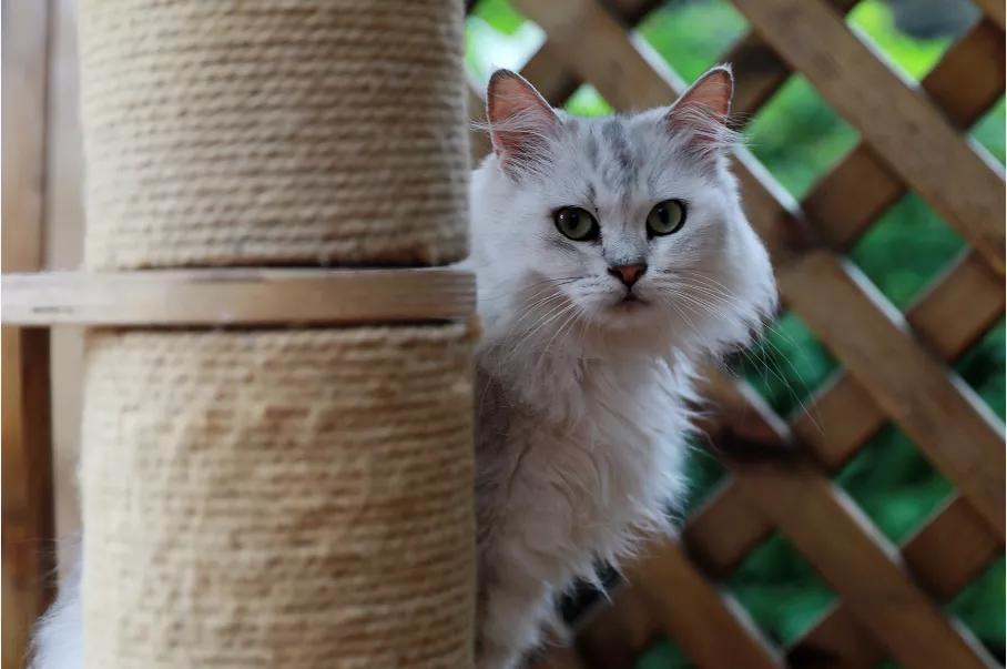 十堰市茅箭区赶集时间,十堰茅箭区约会