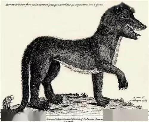 狼人被银弹打死的电影,狼人事件真实案件照片