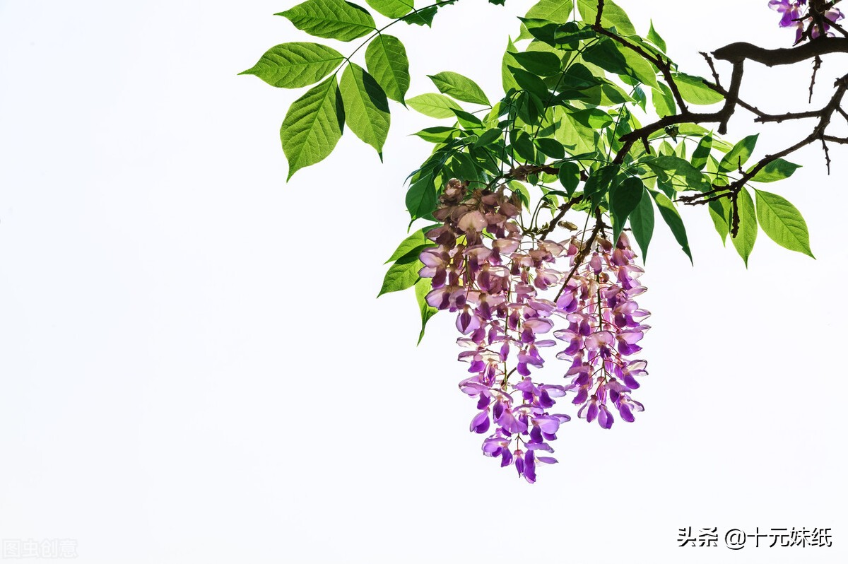 有对象了但又遇到心动的人怎么办,有对象了但是有人喜欢我怎么办