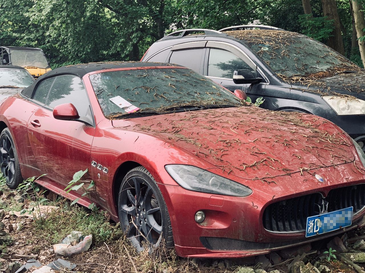 僵尸车怎么报废最划算,僵尸车怎么处理不拿去报废