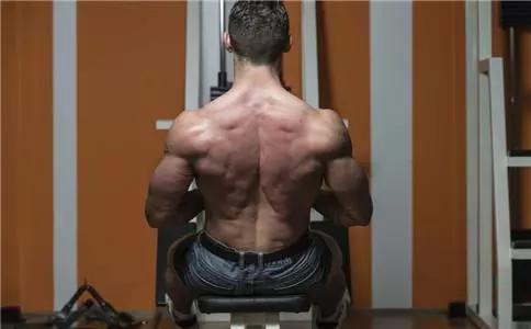 如何用拉力器锻炼背部,如何用拉力器练力量视频