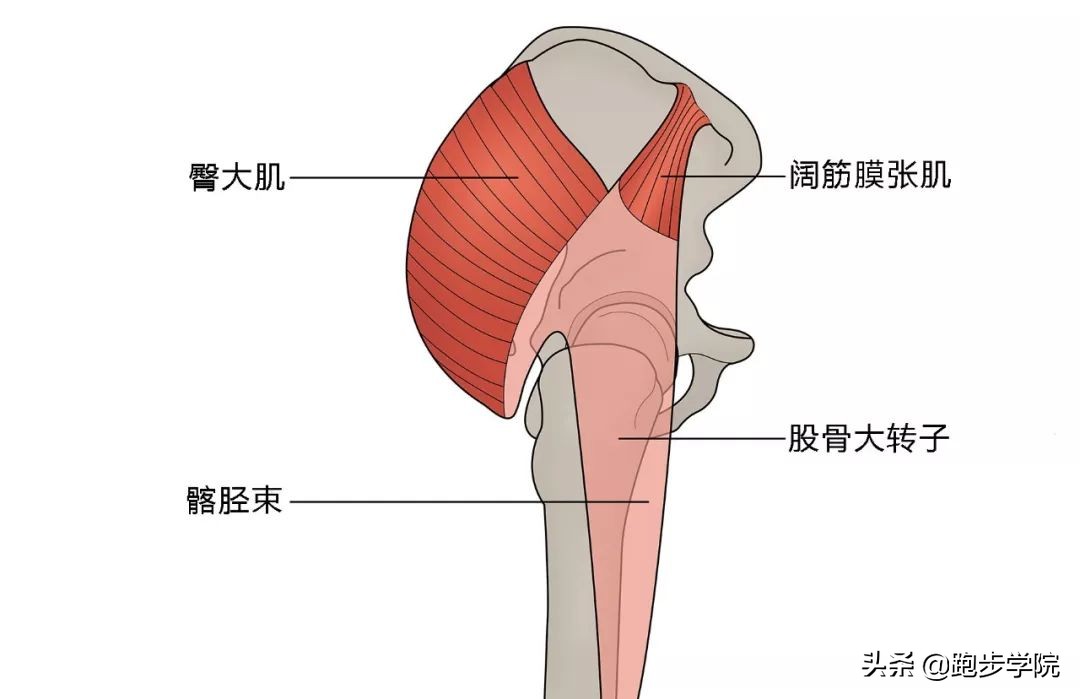 稍微运动浑身咔咔响,为什么运动的时候身体咔咔的响