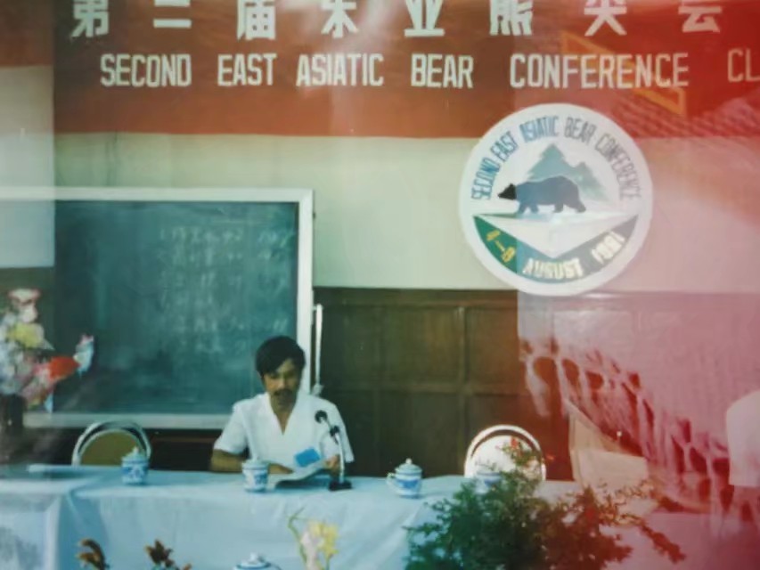 90年代伊春往事,伊春林区往事