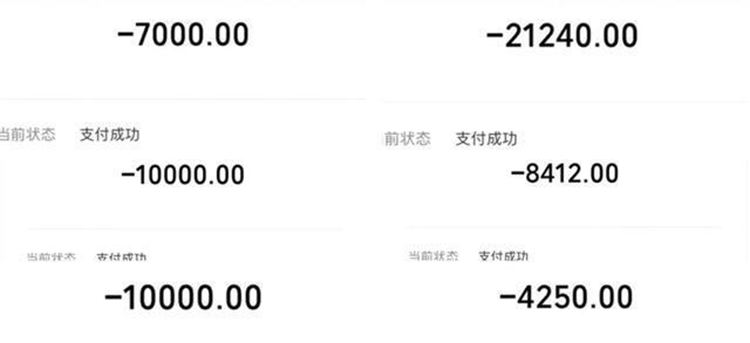 宠物狗坠楼下，主人花6万将它治愈，换你会如何选择？