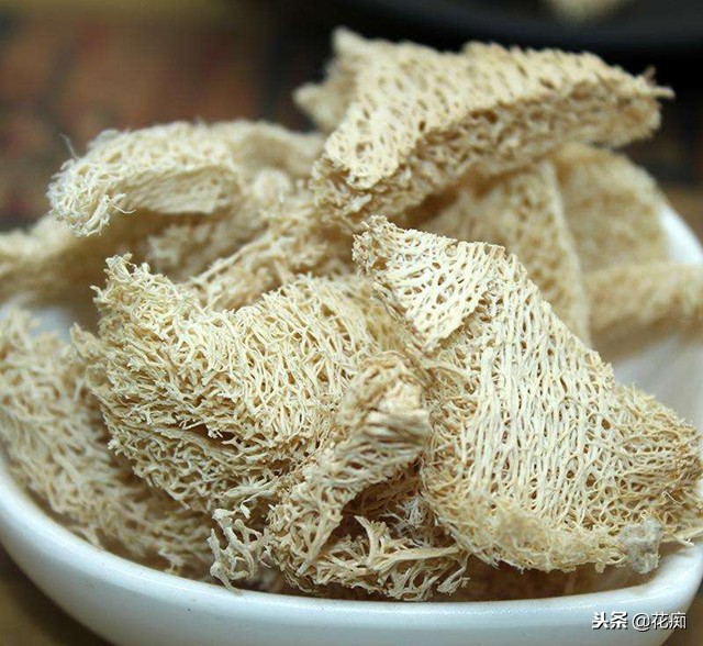 丝瓜养花,老丝瓜籽千万别扔11种用途