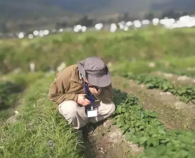 让农业真正回归照顾生命