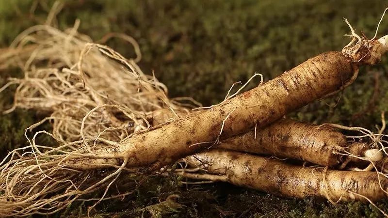 长白山鲜人参煲鸡,长白山精品袋装鲜人参炖鸡