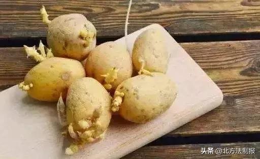 比毒蛇还毒100倍的食物,比毒蛇还毒清明前后切忌别吃