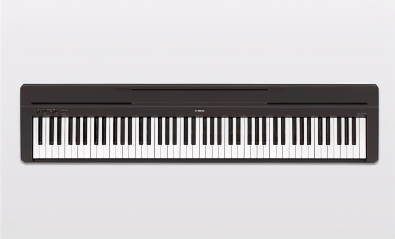 雅马哈电钢琴p48和p95的区别,雅马哈电钢琴p系列是哪里产的