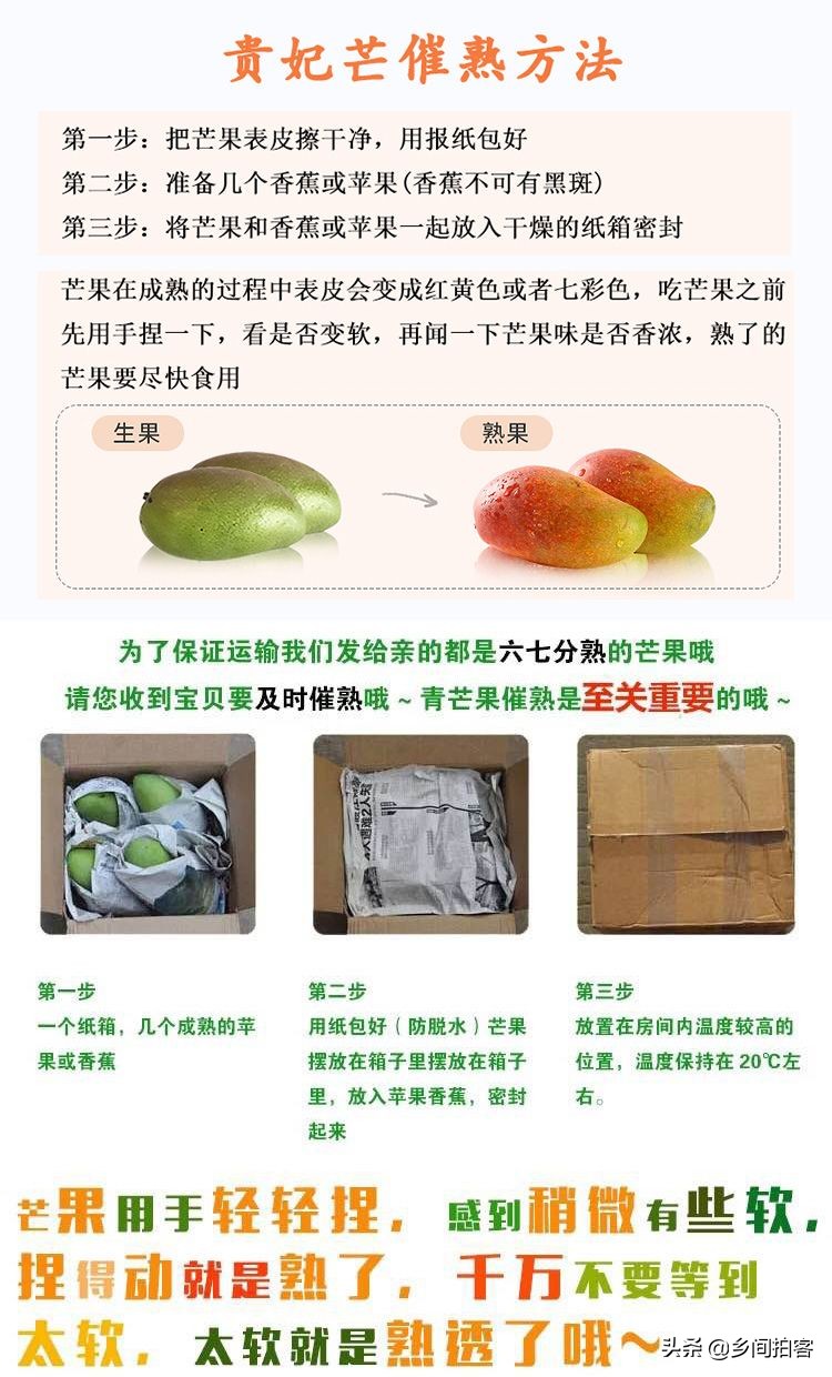 海南产地直发贵妃芒,海南产地树熟贵妃芒