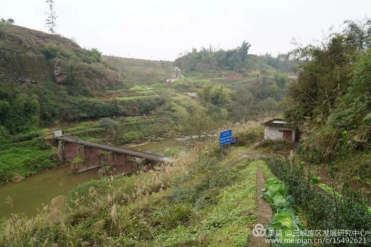 北碚复兴镇最近的视频,重庆市北碚龙门桥