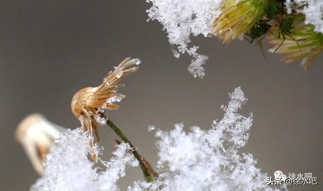 「徐水映像」换个角度看保定徐水,美