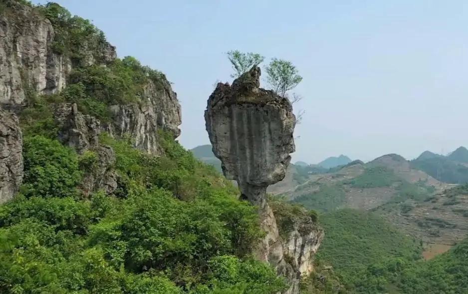 东川石将军自驾游,云南东川石将军罗汉松