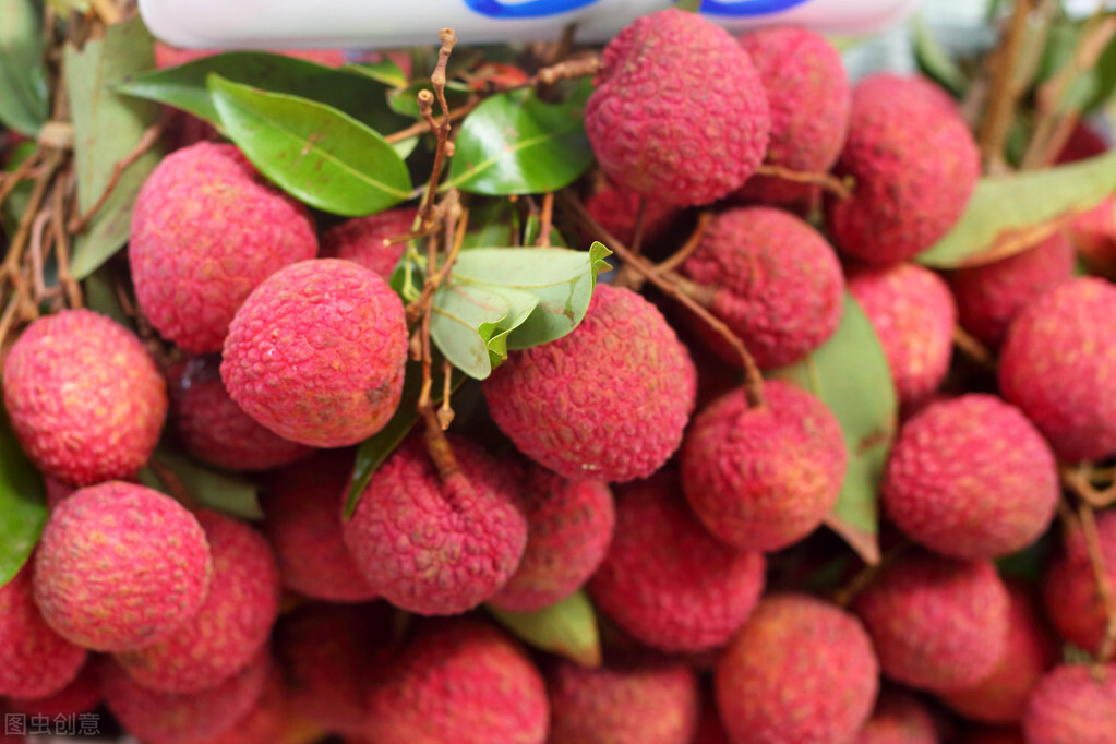 荔枝快熟了被虫蛀了,荔枝快坏了可以吃吗