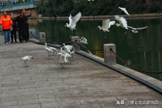 在冬天里看遵义湘江河上的秋色