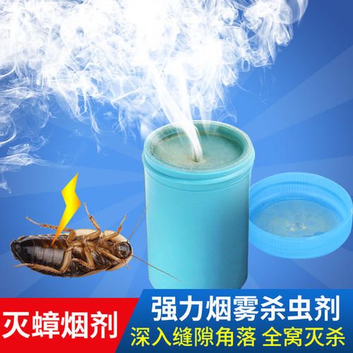 你家的蟑螂再狡猾也躲不过这一招,有没有什么解决蟑螂的小妙招