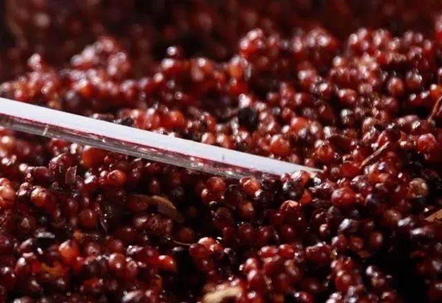 这4种白酒要少喝没酒味还浪费钱,这四款酒真正的物美价廉