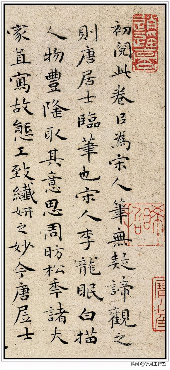 明朝祝允明草书前赤壁赋,明朝第一人祝允明书法