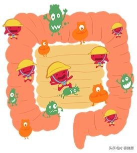 肠道菌群失调吃双歧杆菌多久停药,双歧杆菌是调节肠道菌群的吗