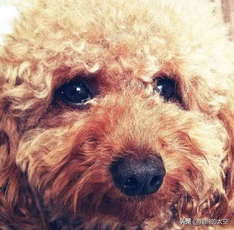 太空是啥“气质”？一众太粉儿用留言告诉你！（文末附彩蛋）