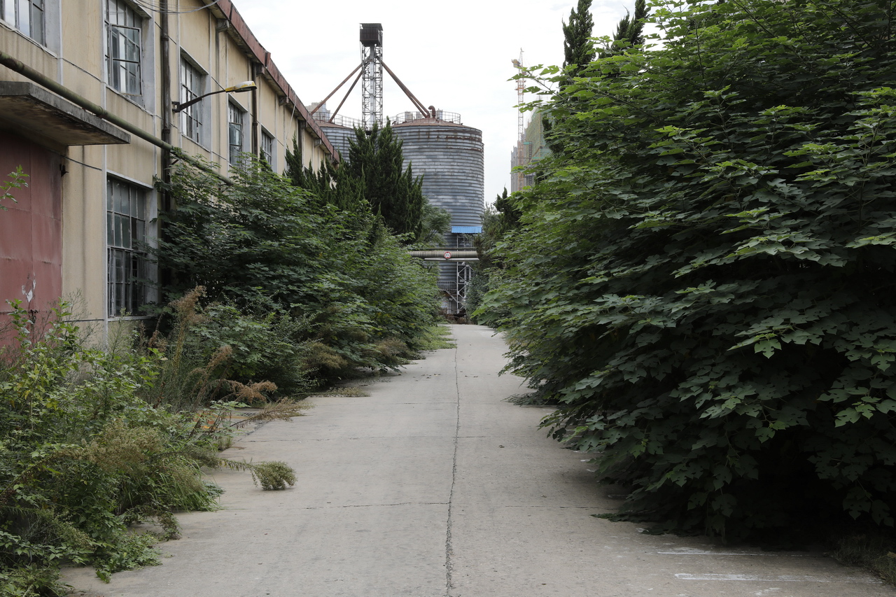 湖北武汉东西湖雪花啤酒,武汉东西湖华润雪花啤酒厂怎么样