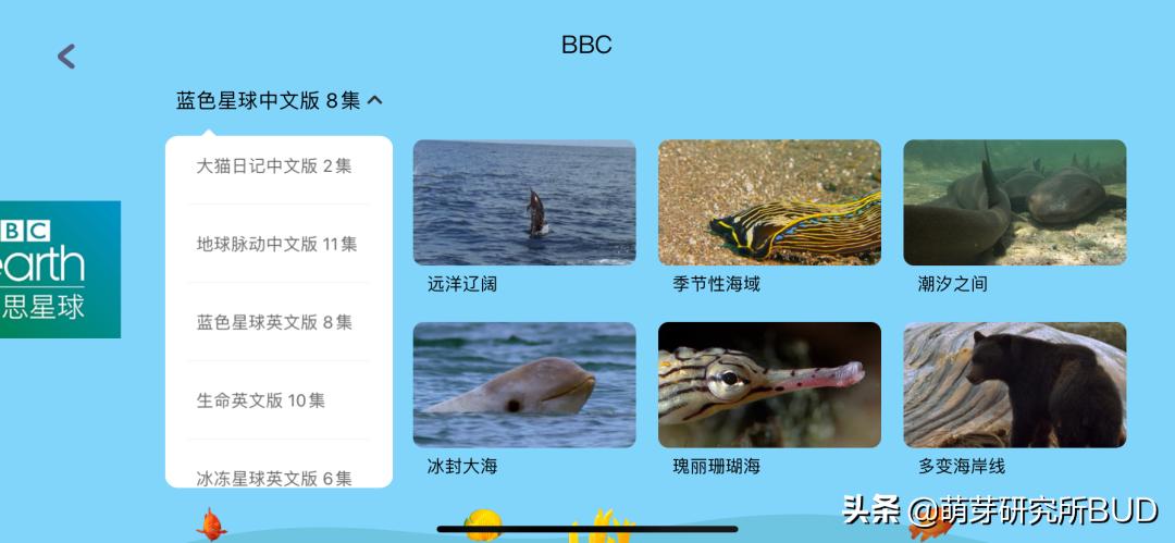 最好的英语启蒙app,我发现一款非常好用的app英语