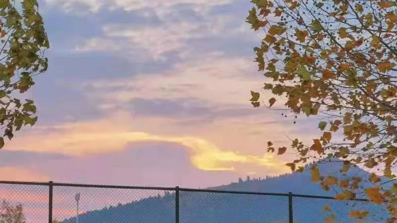 “我是女同性恋者”