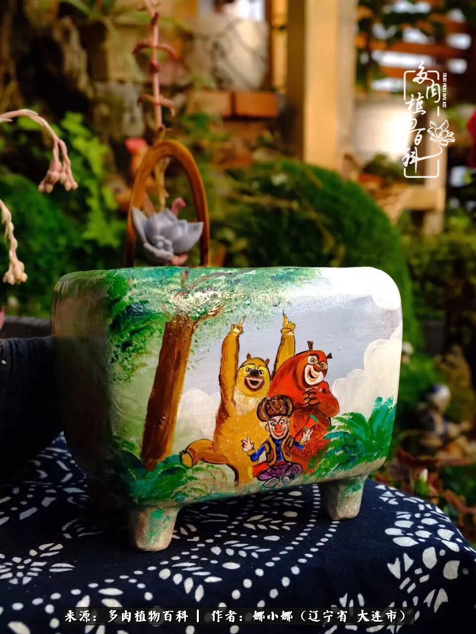 你是盆我是花，你护我周全，我为你绽放