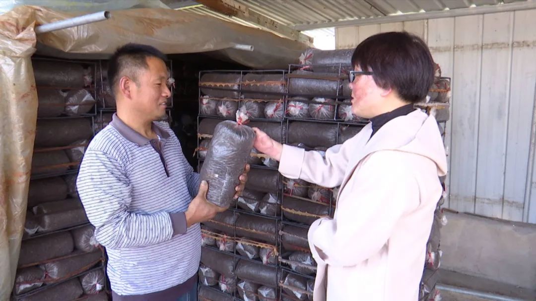 用“一指”点亮扶贫路的“拇指姑娘”