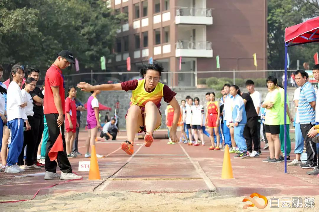 横栏小学校园田径运动会,2019白云区中小学生田径运动会