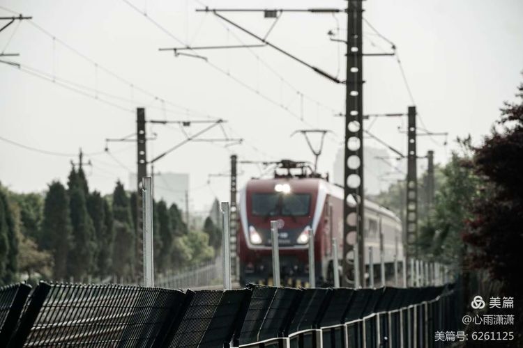 白凡逸志在线阅读,一个韩国人眼里的中国