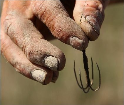 鱼钩钩到大拇指怎么处理,鱼钩不小心钩到人怎么办