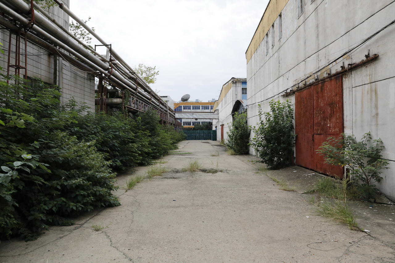 武汉东西湖产的雪花啤酒,东西湖雪花啤酒厂2015年