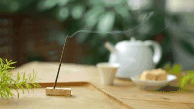 小叶艾草和大叶艾草的功效与作用,新鲜艾草的功效与作用及食用方法