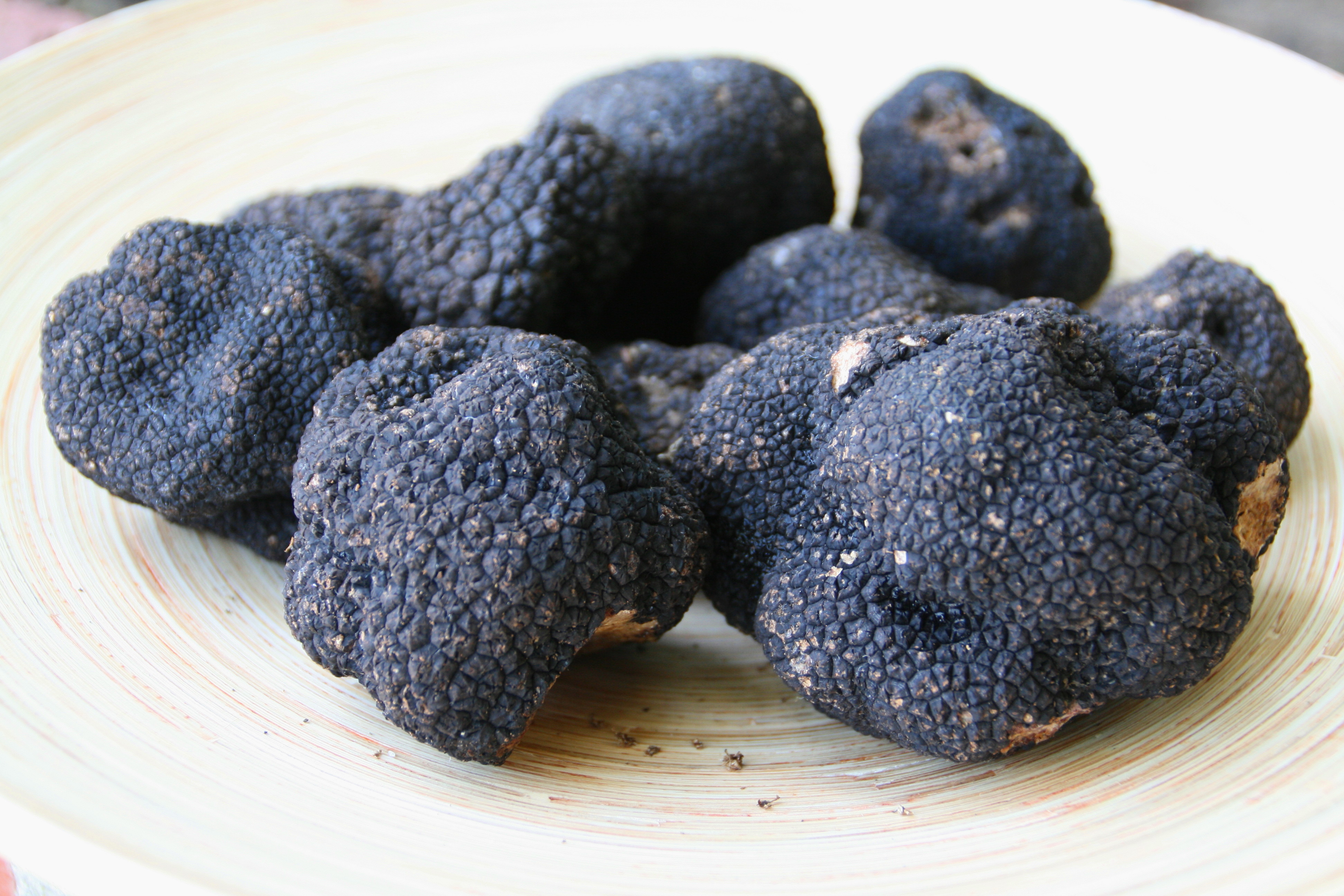 世界上最贵的食物松露,世界上最贵的食材松露